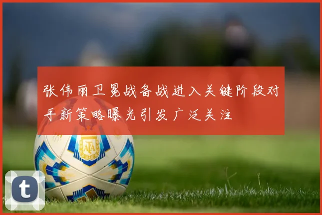 张伟丽卫冕战备战进入关键阶段对手新策略曝光引发广泛关注